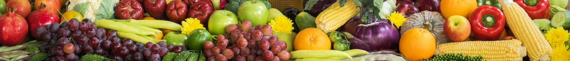 Nutritionist in Fanwood
